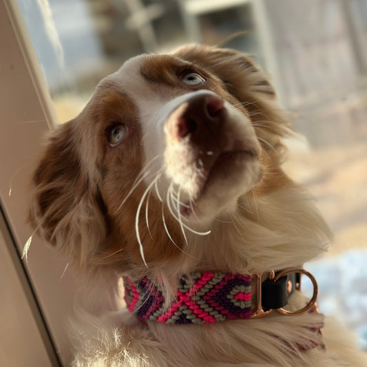 Friendshiphalsband ” Rosie “, handgemacht