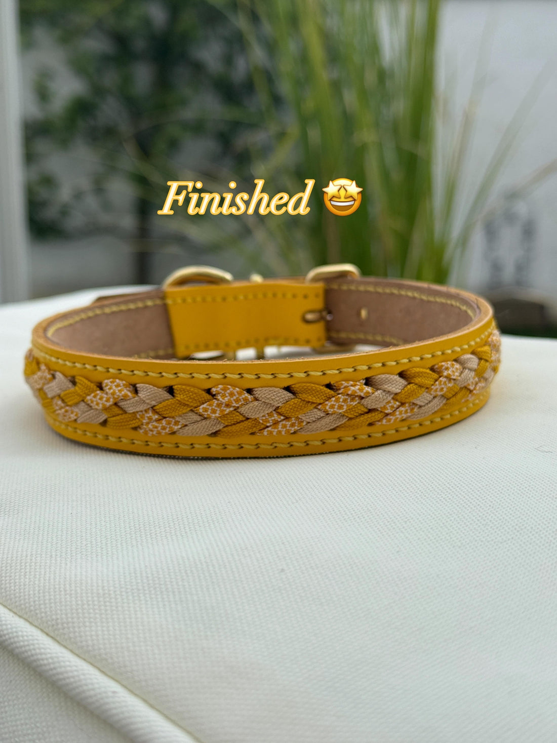 Halsband aus gelben Blankleder mit Flechtung und Messing Beschlägen. Das Halsband wurde von Hand angefertigt - Flechtung, Sattlernaht.