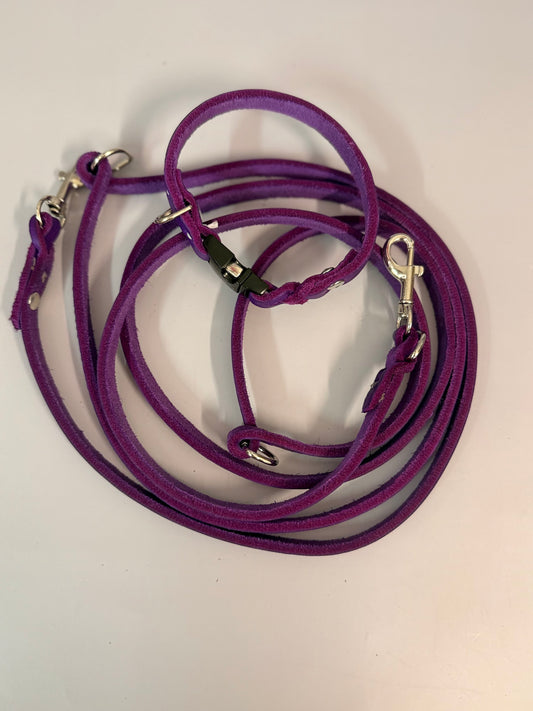 Lederleine und Halsband