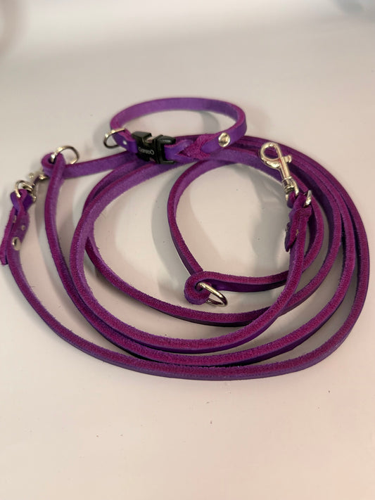 Lederleine und Halsband