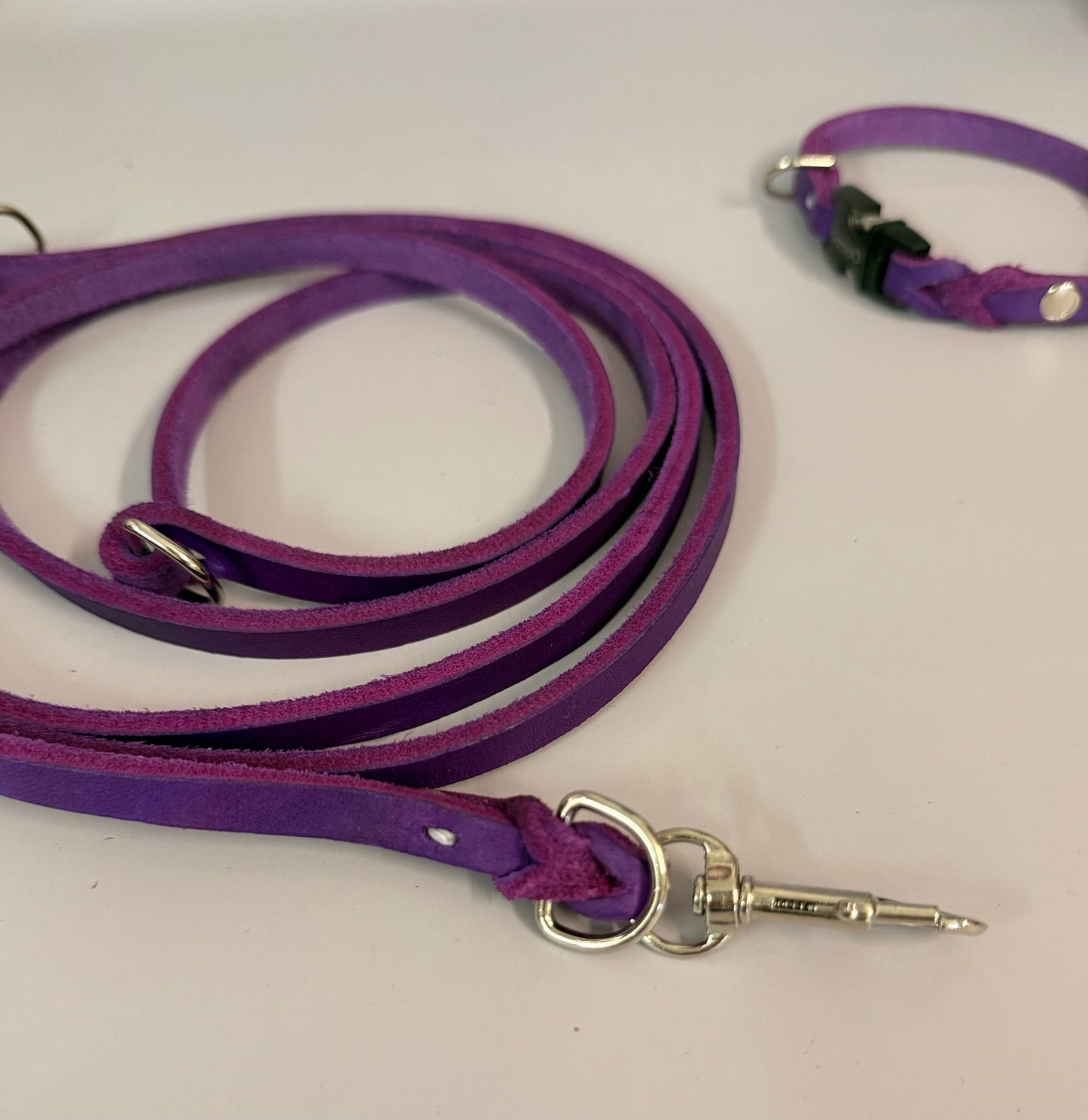 Lederleine und Halsband