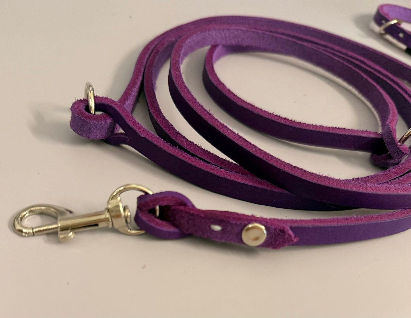 Lederleine und Halsband