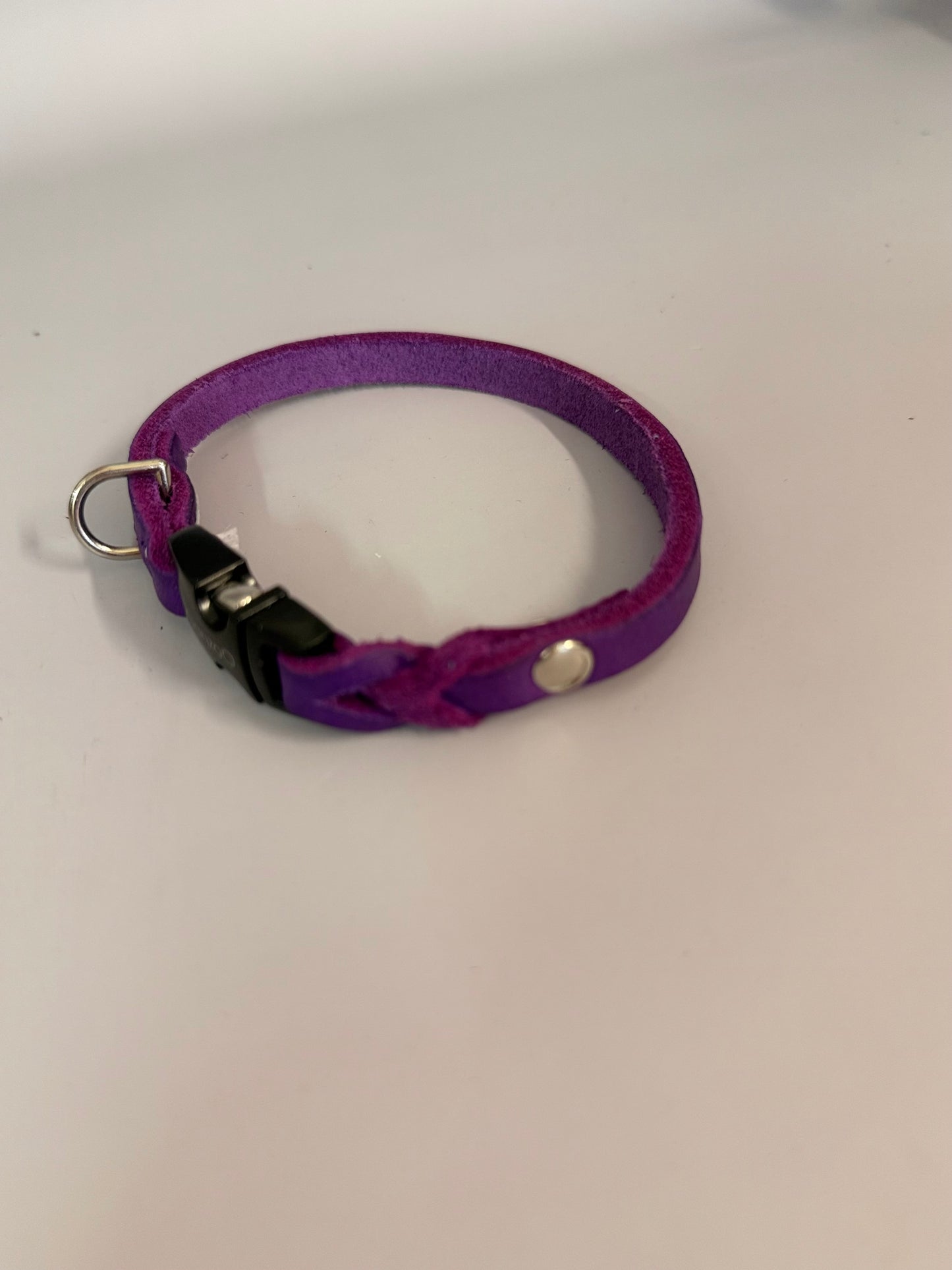 Lederleine und Halsband