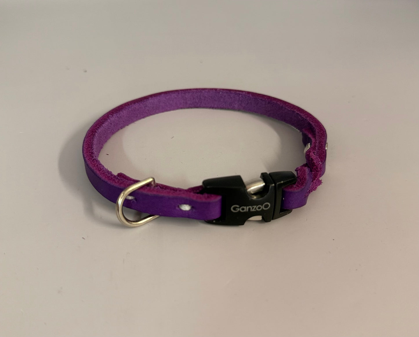 Lederleine und Halsband