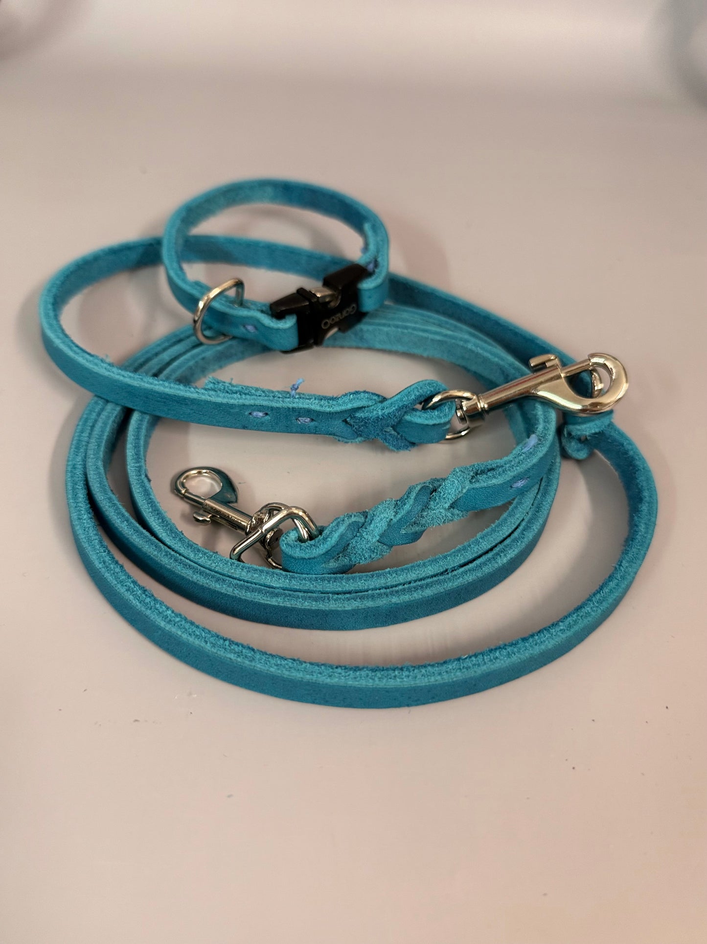 Lederleine und Halsband