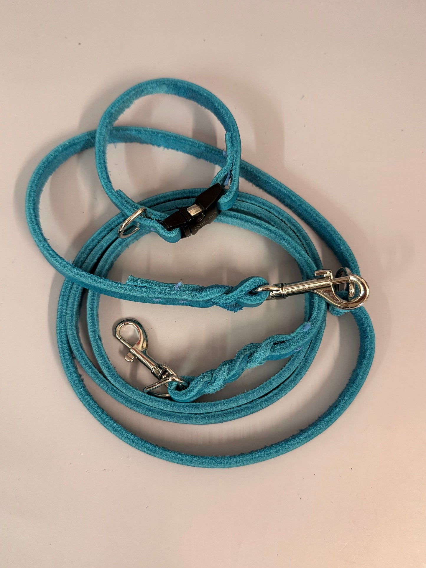 Lederleine und Halsband