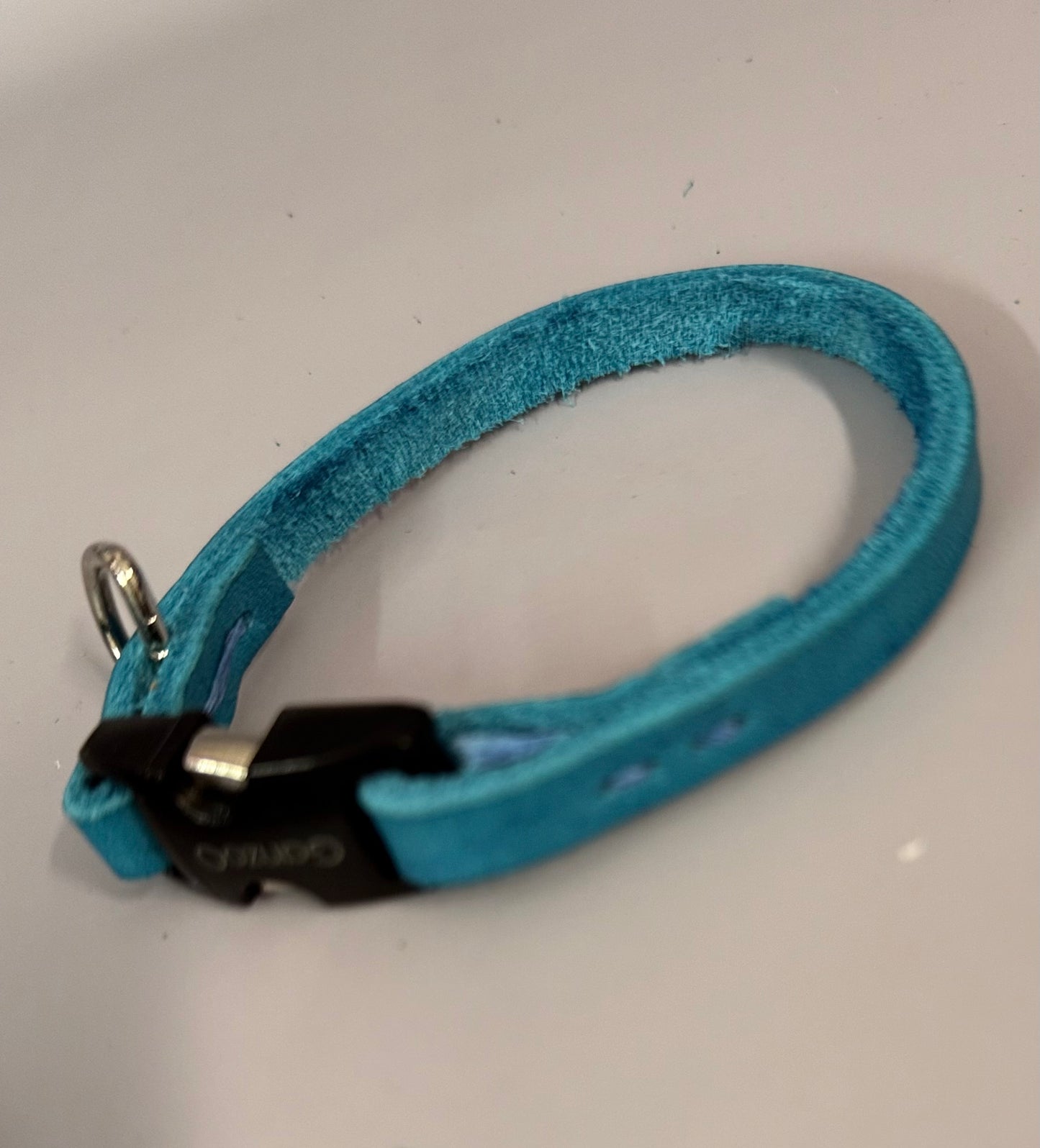 Lederleine und Halsband