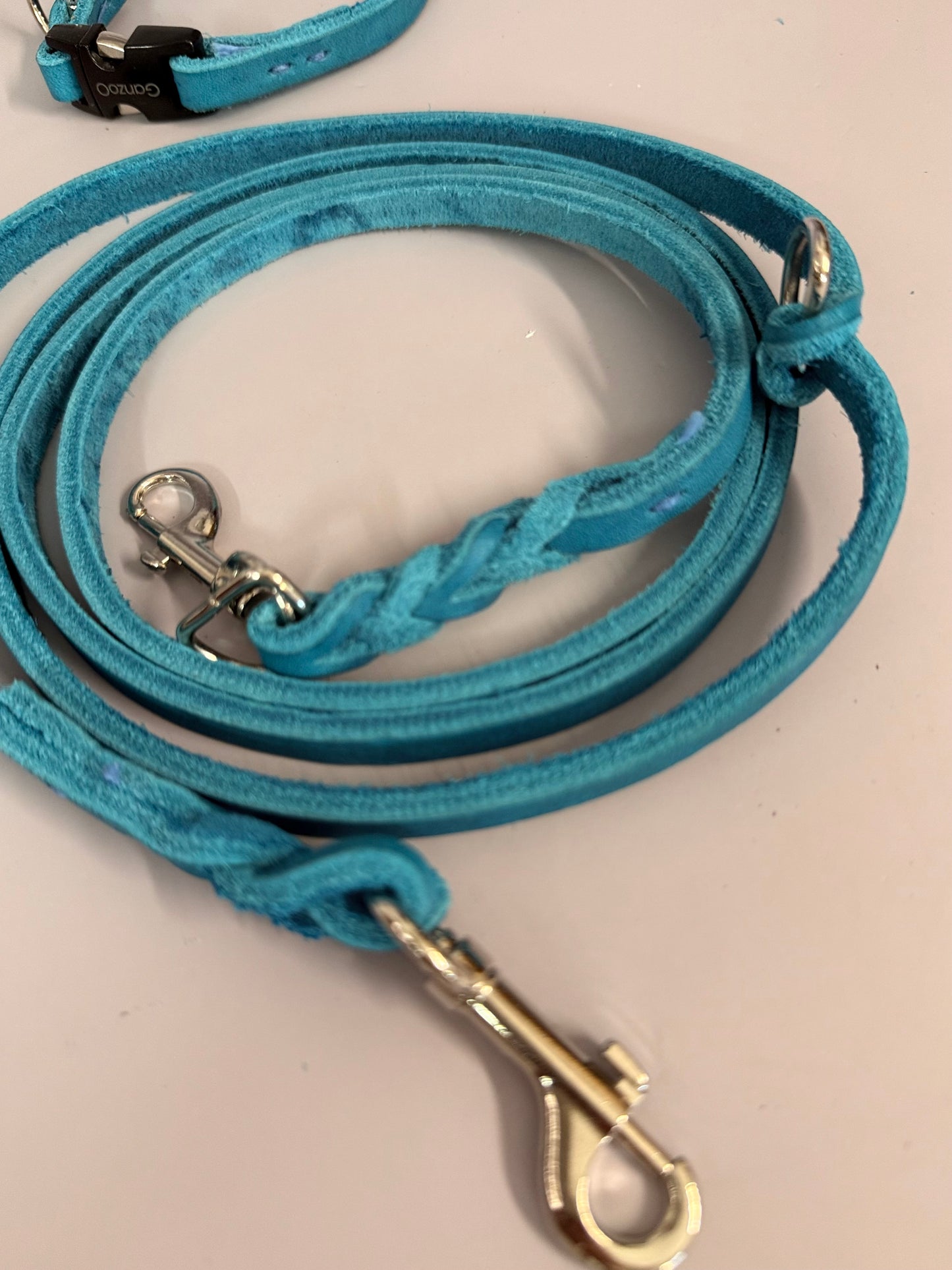 Lederleine und Halsband
