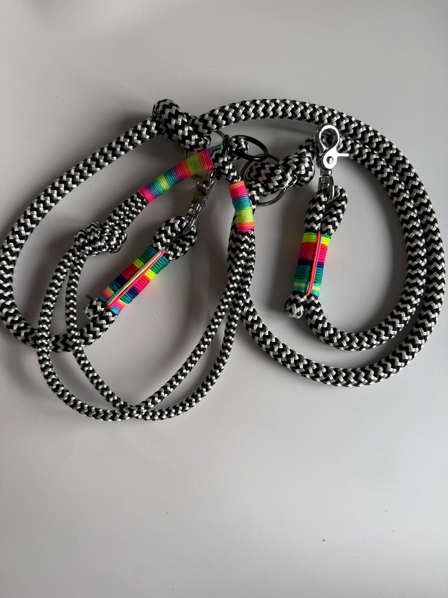 Set Tau-Leine und Tau-Halsband