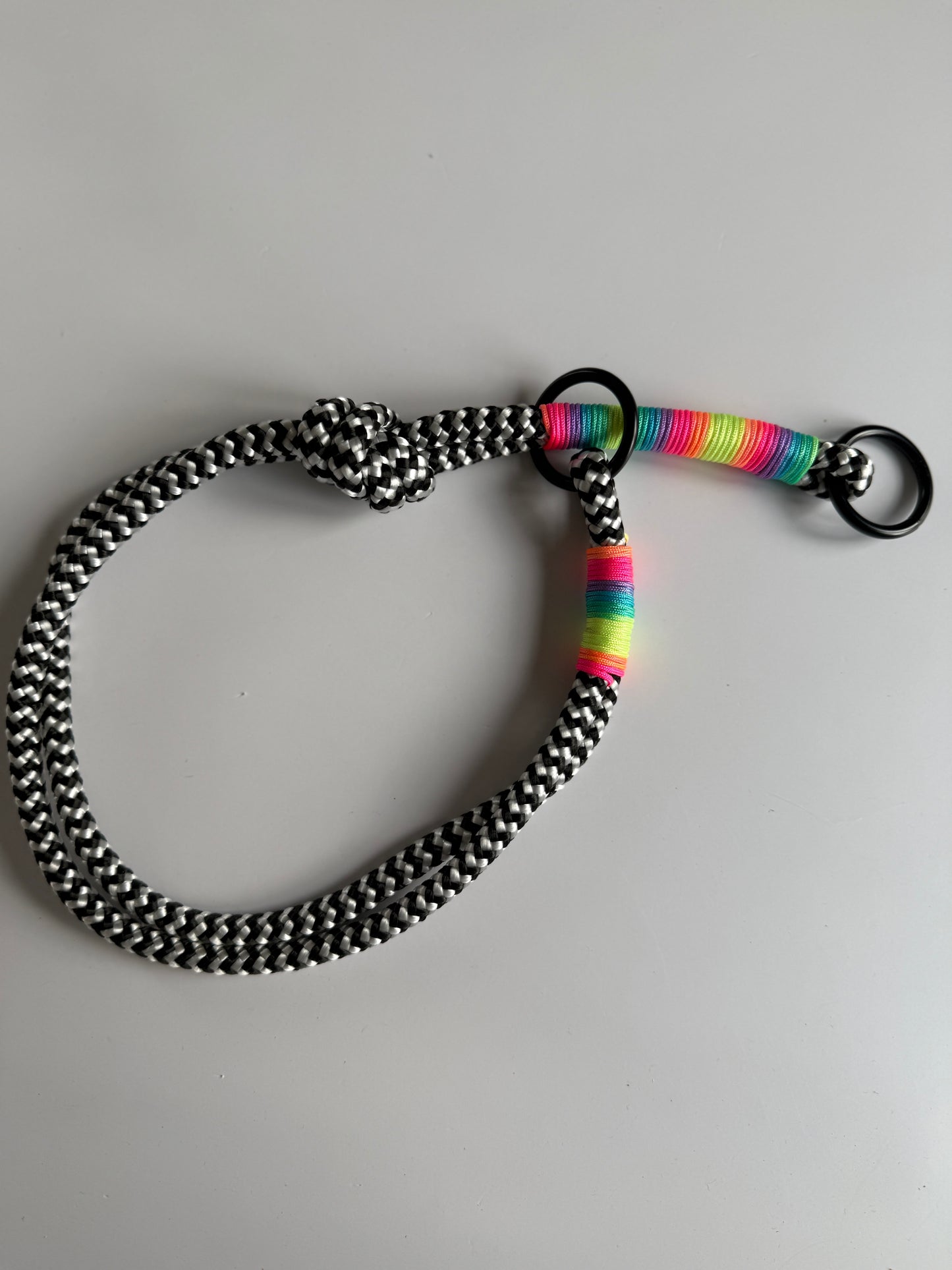 Set Tau-Leine und Tau-Halsband