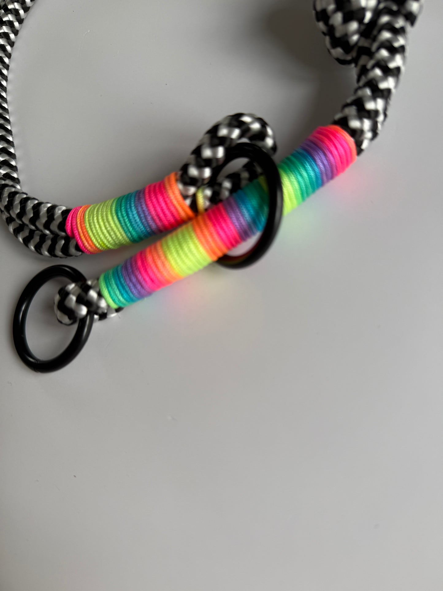 Set Tau-Leine und Tau-Halsband