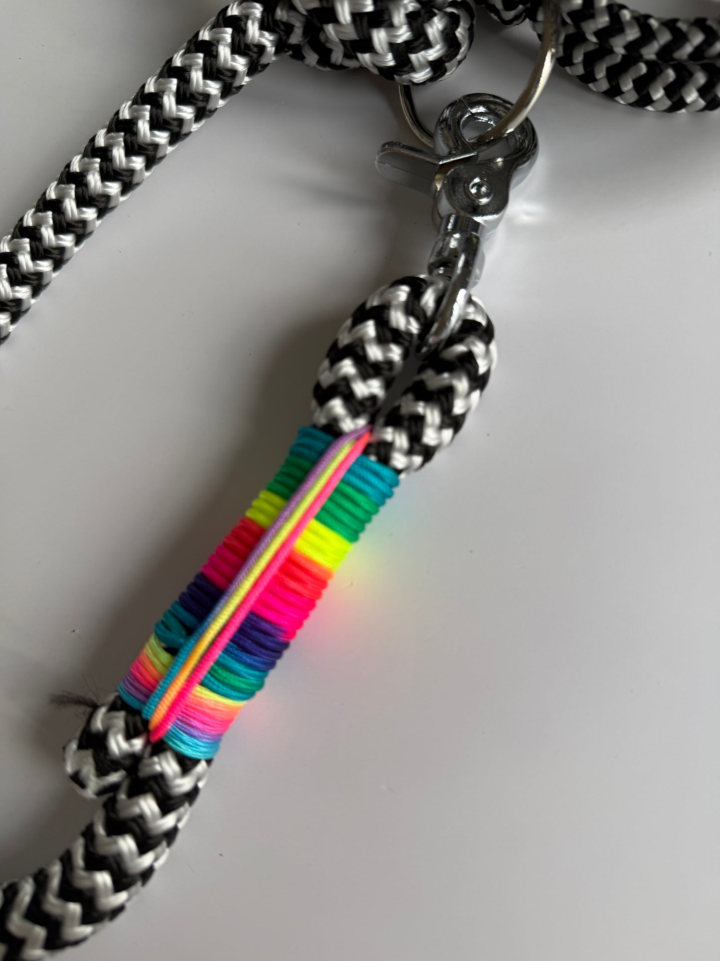 Set Tau-Leine und Tau-Halsband